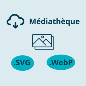 Accepte Sgv Webp Mediatheque 1 Carre